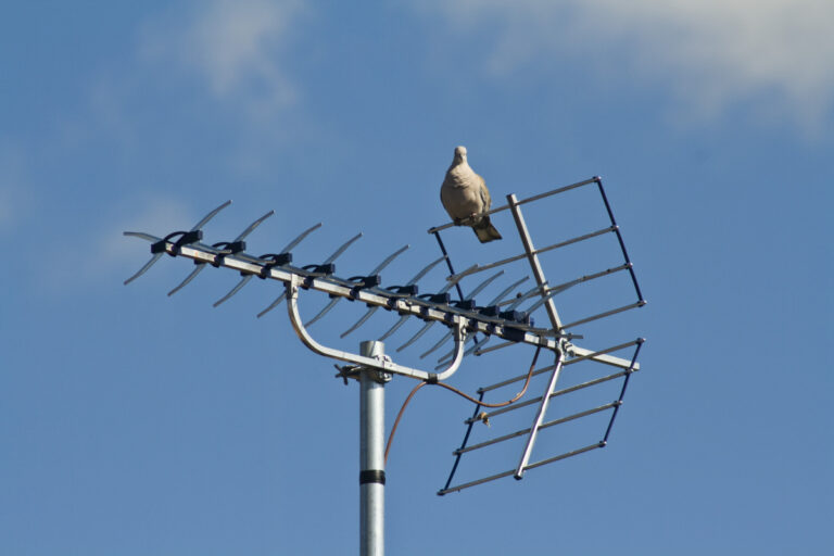 antenne qui fait du bruit