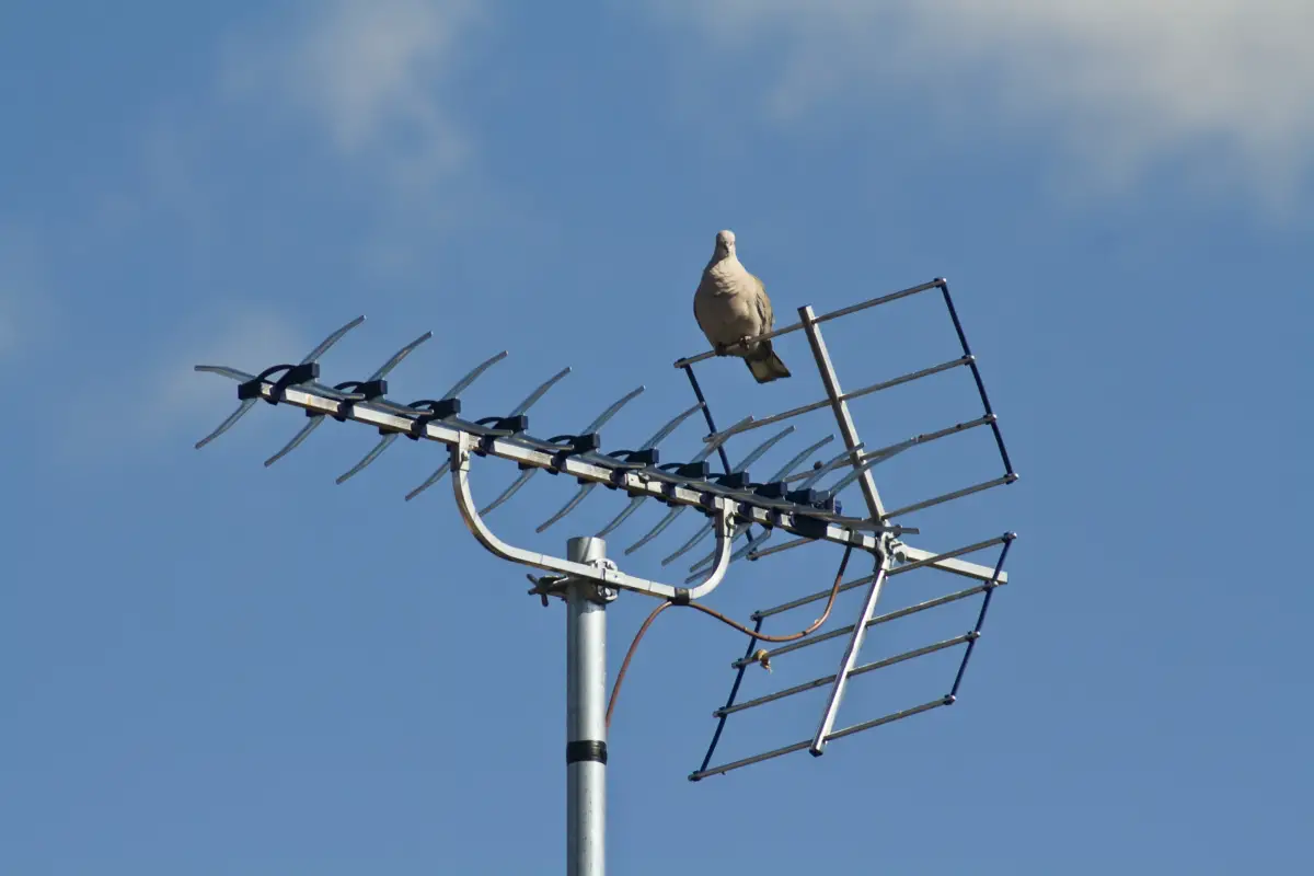 antenne qui fait du bruit